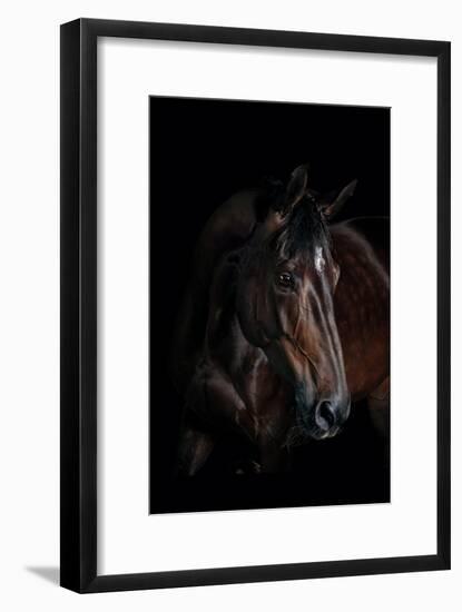 Horse-Fabio Petroni-Framed Photographic Print