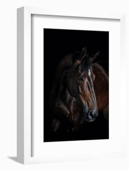 Horse-Fabio Petroni-Framed Photographic Print