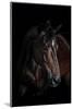 Horse-Fabio Petroni-Mounted Photographic Print