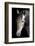 Horse-Fabio Petroni-Framed Photographic Print