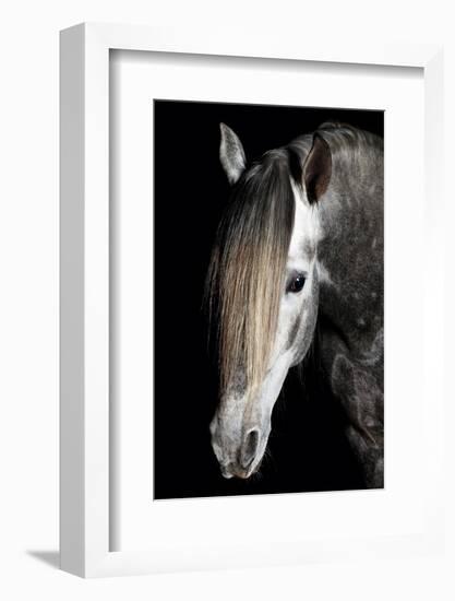 Horse-Fabio Petroni-Framed Photographic Print