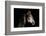 Horse-Fabio Petroni-Framed Photographic Print