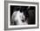 Horse-Fabio Petroni-Framed Photographic Print