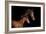 Horse-Fabio Petroni-Framed Photographic Print