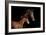 Horse-Fabio Petroni-Framed Photographic Print