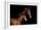 Horse-Fabio Petroni-Framed Photographic Print