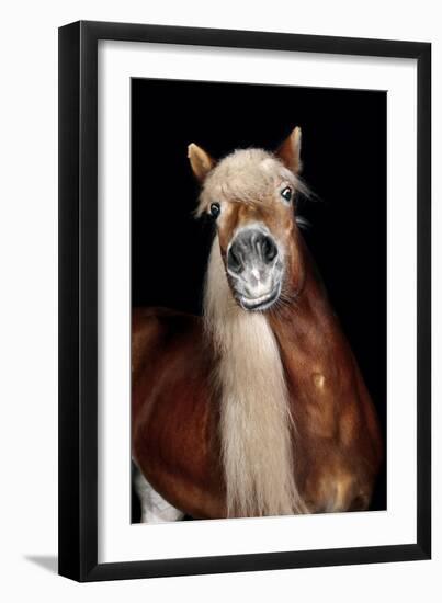 Horse-Fabio Petroni-Framed Photographic Print