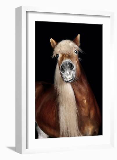 Horse-Fabio Petroni-Framed Photographic Print