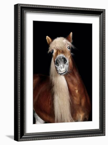 Horse-Fabio Petroni-Framed Photographic Print