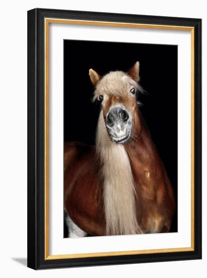 Horse-Fabio Petroni-Framed Photographic Print