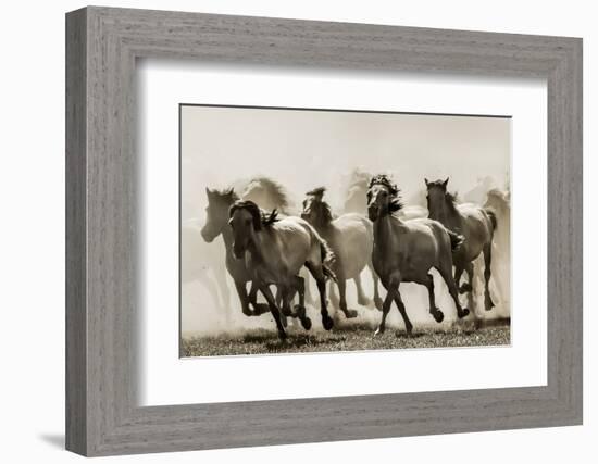 Horse-Heidi Bartsch-Framed Photographic Print