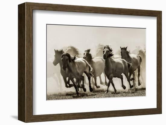 Horse-Heidi Bartsch-Framed Photographic Print