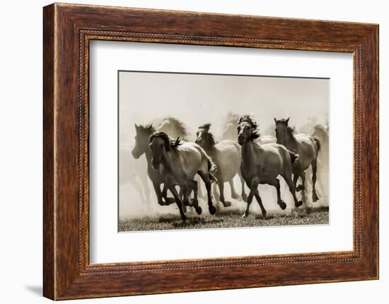 Horse-Heidi Bartsch-Framed Photographic Print