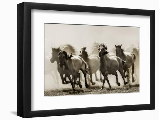 Horse-Heidi Bartsch-Framed Photographic Print