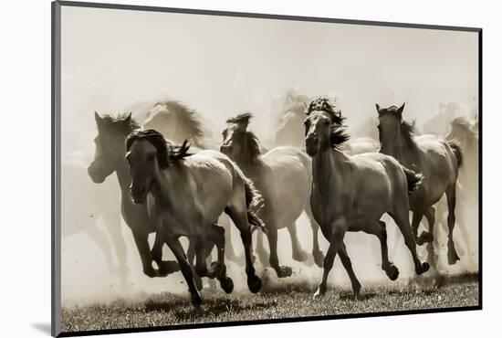Horse-Heidi Bartsch-Mounted Photographic Print