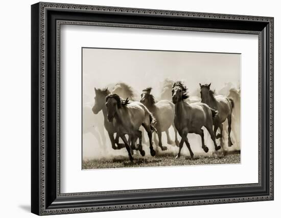 Horse-Heidi Bartsch-Framed Photographic Print