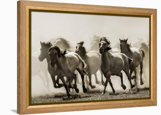 Horse-Heidi Bartsch-Framed Premier Image Canvas