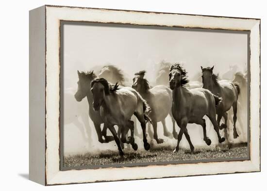 Horse-Heidi Bartsch-Framed Premier Image Canvas