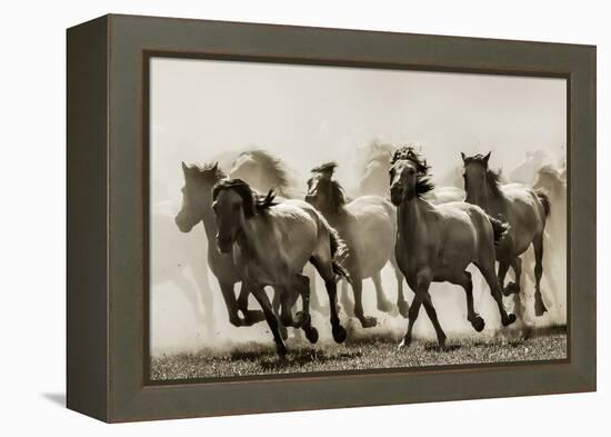 Horse-Heidi Bartsch-Framed Premier Image Canvas