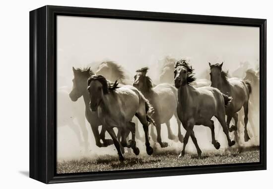 Horse-Heidi Bartsch-Framed Premier Image Canvas