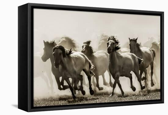 Horse-Heidi Bartsch-Framed Premier Image Canvas