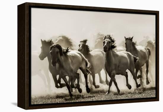 Horse-Heidi Bartsch-Framed Premier Image Canvas