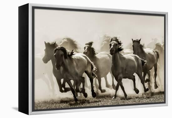 Horse-Heidi Bartsch-Framed Premier Image Canvas