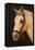 Horse-Nelly Arenas-Framed Stretched Canvas