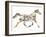 Horse-Louise Tate-Framed Giclee Print