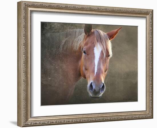 Horse-Mark Ashkenazi-Framed Giclee Print