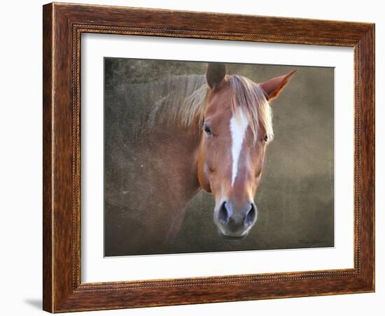 Horse-Mark Ashkenazi-Framed Giclee Print