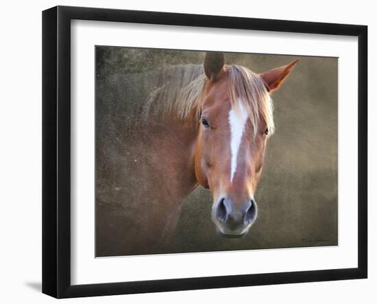 Horse-Mark Ashkenazi-Framed Giclee Print