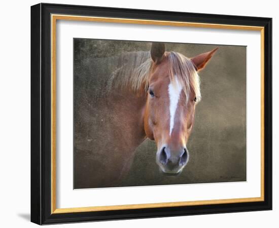 Horse-Mark Ashkenazi-Framed Giclee Print