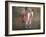 Horse-Mark Ashkenazi-Framed Giclee Print