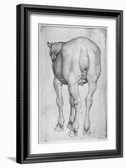 Horse-Antonio Pisani Pisanello-Framed Giclee Print