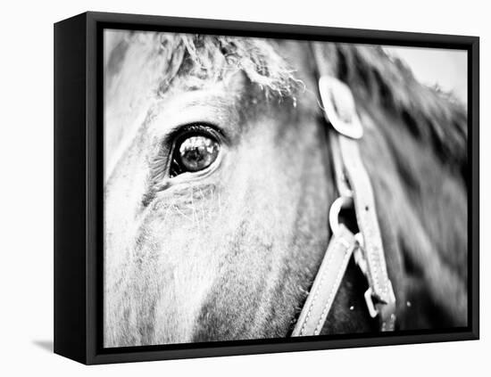 Horseback Riding I-Susan Bryant-Framed Premier Image Canvas