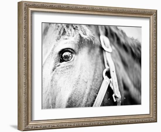 Horseback Riding I-Susan Bryant-Framed Photographic Print