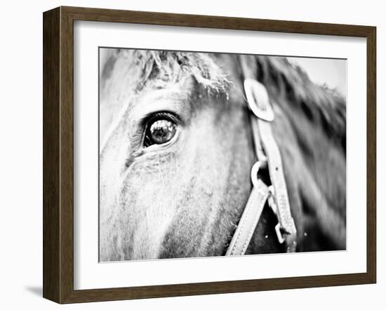 Horseback Riding I-Susan Bryant-Framed Photographic Print