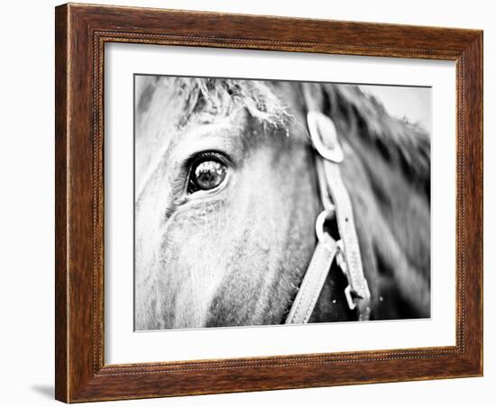 Horseback Riding I-Susan Bryant-Framed Photographic Print