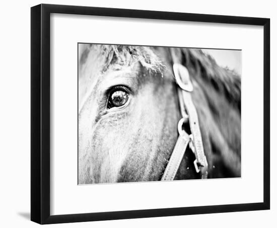 Horseback Riding I-Susan Bryant-Framed Photographic Print