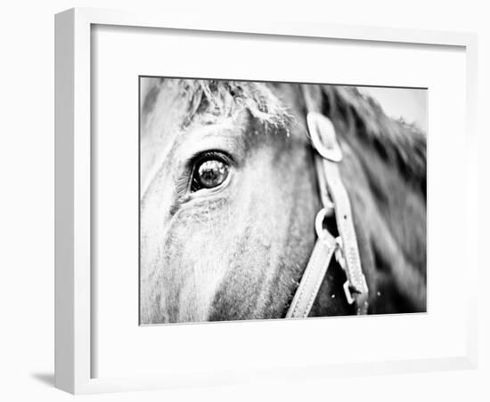 Horseback Riding I-Susan Bryant-Framed Photographic Print