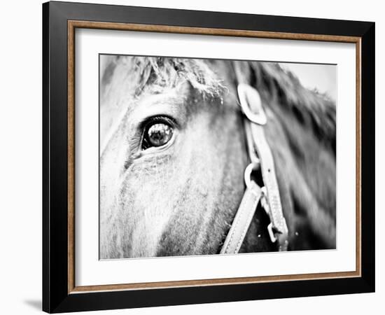 Horseback Riding I-Susan Bryant-Framed Photographic Print