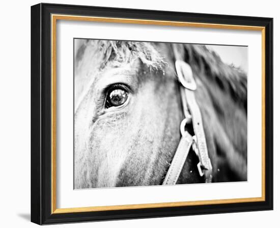 Horseback Riding I-Susan Bryant-Framed Photographic Print