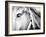 Horseback Riding I-Susan Bryant-Framed Photographic Print