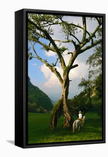 Horseback Riding, Mexico-Howard Ruby-Framed Premier Image Canvas