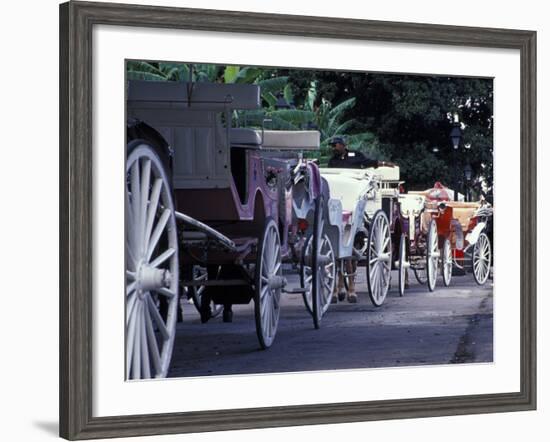 Horsedrawn Carriage at Jackson Square, French Quarter, Louisiana, USA-Adam Jones-Framed Photographic Print