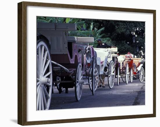 Horsedrawn Carriage at Jackson Square, French Quarter, Louisiana, USA-Adam Jones-Framed Photographic Print