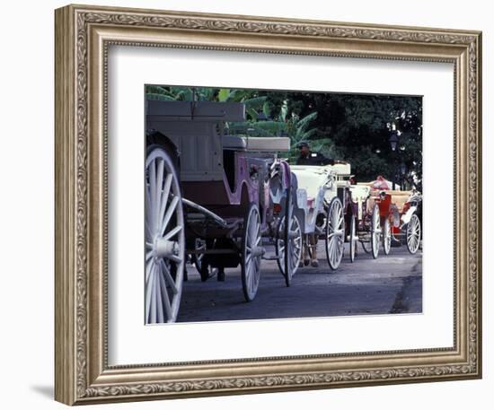 Horsedrawn Carriage at Jackson Square, French Quarter, Louisiana, USA-Adam Jones-Framed Photographic Print