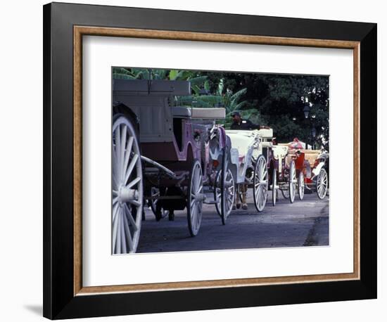 Horsedrawn Carriage at Jackson Square, French Quarter, Louisiana, USA-Adam Jones-Framed Photographic Print