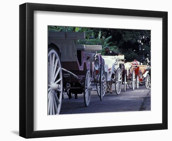 Horsedrawn Carriage at Jackson Square, French Quarter, Louisiana, USA-Adam Jones-Framed Photographic Print